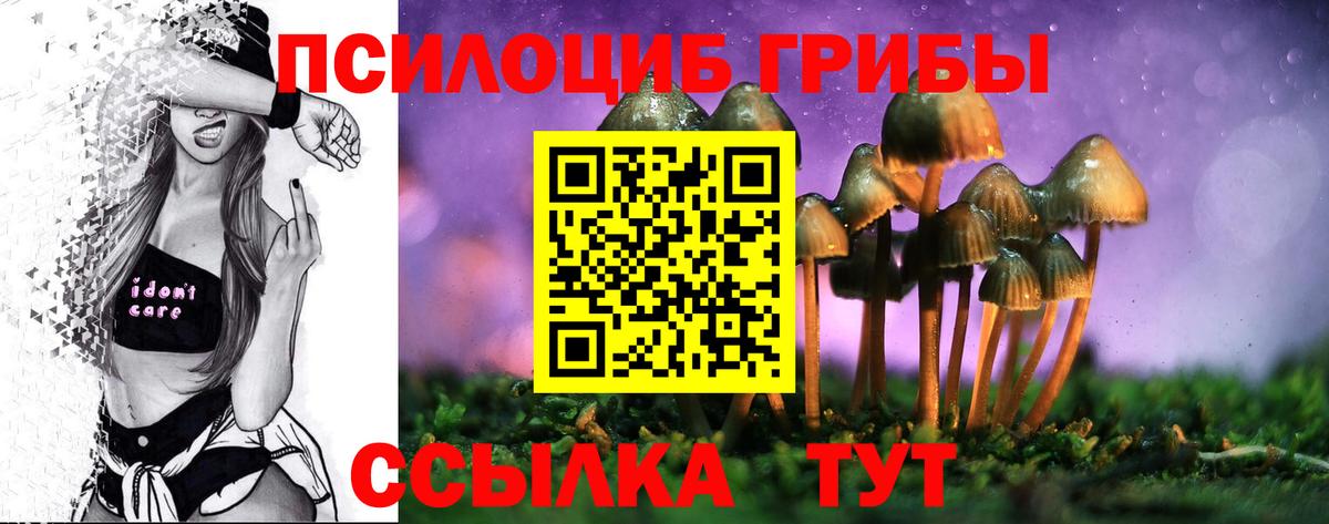 Вятские Поляны  Галлюциногенные грибы Cubensis  Вход с VPN 
